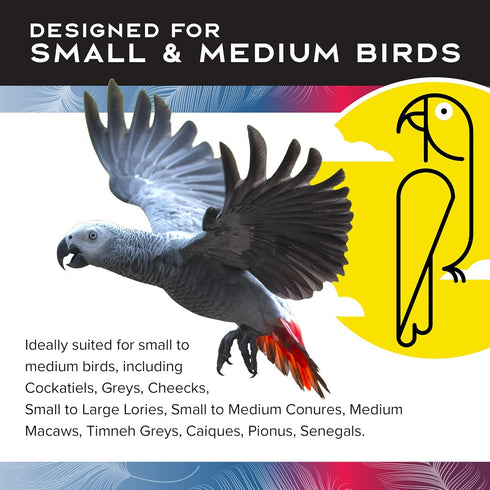 Featherland Paradise Bird Cage Toy, Toys for Parrots, Parakeets, Small and Medium Birds