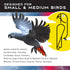 Featherland Paradise Bird Cage Toy, Toys for Parrots, Parakeets, Small and Medium Birds