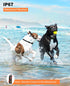 Dog Shock Collar - 4000FT Training Collar with Remote IPX7 Waterproof for 10-120lbs Dogs, Rechargeable e Collar with 4