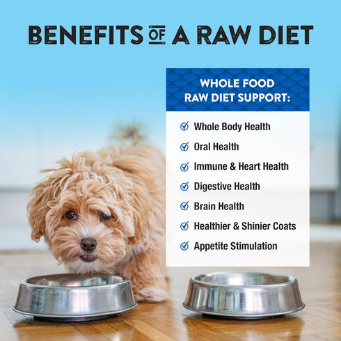 Omega-3 25 Oz Northwest Naturals Freeze-Dried Beef & Trout Dog Food - Bite-Sized Nuggets - Grain-Free, High-Protein
