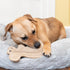 SPOT 8in Dura-Fused Leather Squirrel Dog Toy Real Leather & Jute Fabric, Double-Stitched & Durable, Soft Stuffed