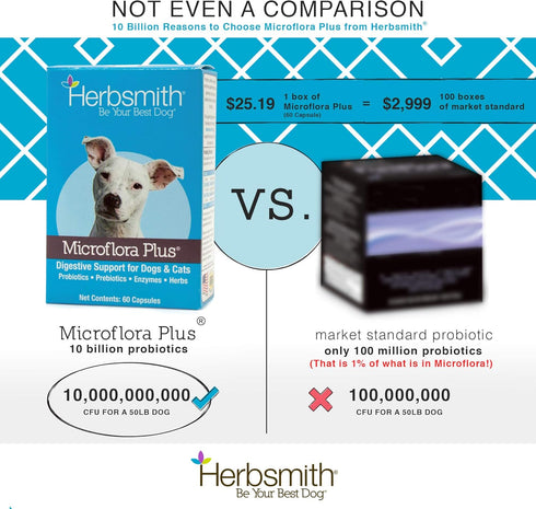 Herbsmith Microflora Plus, Dog Digestion Aid, Probiotics and Digestive Enzymes, 120 Capsules