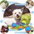 6Pcs Squeaky Dog Balls, Tough Training Toys for Dogs, High Bouncy Balls for Interactive Play and Teething (2.5in)