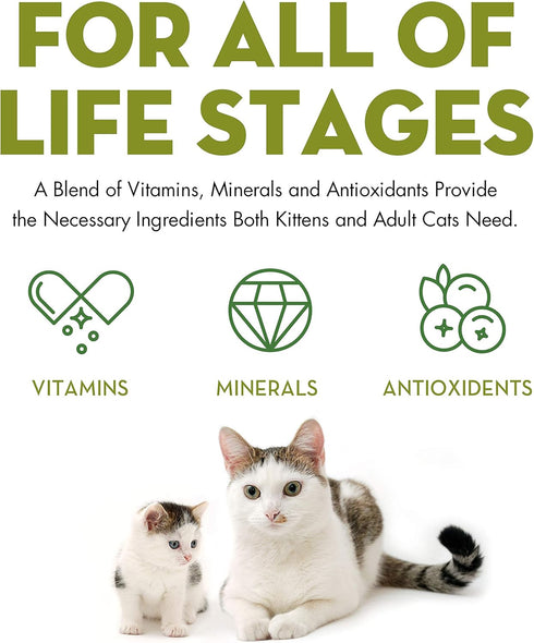 Avoderm Natural Grain Free Wet Cat Food, Chicken Chunks Entrée In Gravy, 3 Oz Cans, Case Of 24
