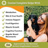 Wholistic Pet Organics Canine Complete, 1lb - Organic Pumpkin Supplement for Dogs, Supports Digestion & Heart Health