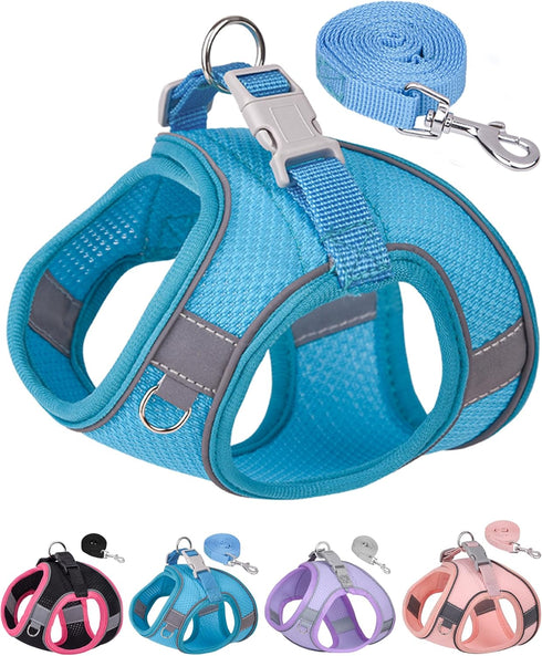 Dog Harness and Leash Set for Small Medium Sized Dogs, Training Vest Harness, Blue, XXS