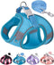 Dog Harness and Leash Set for Small Medium Sized Dogs, Training Vest Harness, Blue, XXS
