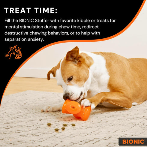 BIONIC Stuffer Treat Dog Toy, High-Visibility Treat Dispenser, Great for Redirected Chewing