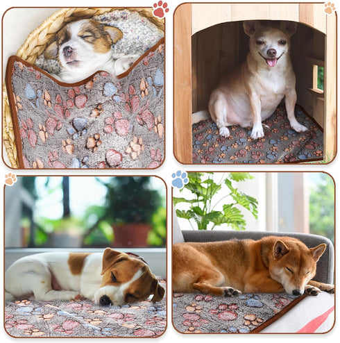 8 Pcs Fleece Dog Blankets, Puppy Blankets for Small Dogs Cats, Soft Coral Velvet Warm Sleep Mat, Dark Gray, 24 x 16 Inch