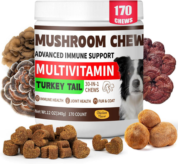 BevinMugford Turkey Tail Mushroom for Dogs, 170 Count Mushroom Chews for Dogs, Chicken