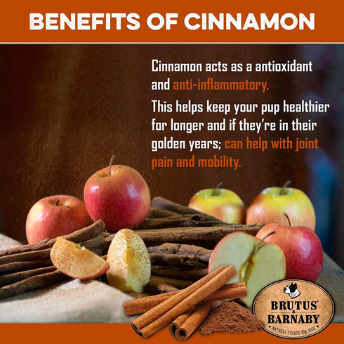 BRUTUS & BARNABY USA Sweet Potato Dog Treats - 8 oz Crunchy Grain Free Cinnamon Apple Sticks for Positive Gut Health