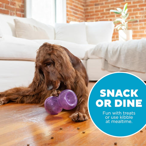 Outward Hound Double Snoop Interactive Treat Stuffer Durable Dog Toy in Purple