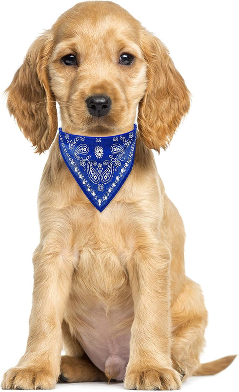 Crystal Studded Blue Bandana Pet Accessory - Hypoallergenic Polyester for Small Dogs, Cute Accessories