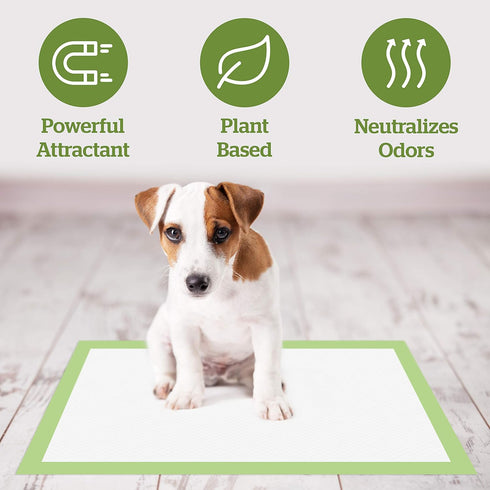 Pogi's XL Dog Training Pads with Adhesive Sticky Tabs, 20-Count, 24x35in, Plant-Based Puppy Pee Pads for Extra Large