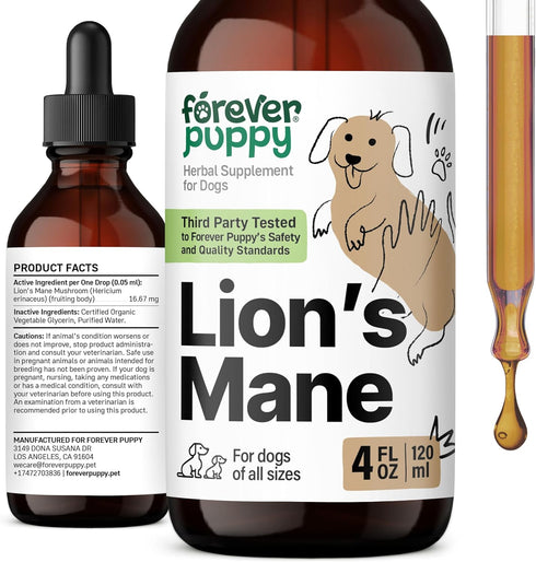 Lion's Mane Mushroom Supplement for Dogs, Liquid Drops for Brain Health, Vegan Vitamins for Focus - 4 oz