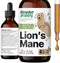 Lion's Mane Mushroom Supplement for Dogs, Liquid Drops for Brain Health, Vegan Vitamins for Focus - 4 oz