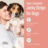 Ollie Beef and Sweet Potato Jerky Recipe Dog Treats - All Natural Healthy Dog Treats 5 Oz.