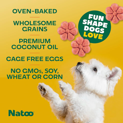 NATOO Dog Biscuits for Small Dogs & Puppies, Crunchy Oats & Berry Treats, 8 oz