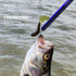 R2 Hook Remover Squeeze-Out Fish Hook Tools Booms Fishing, 3 Colors Available