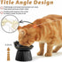 Ceramic Tilted Raised Cat Bowl, Anti Vomit Feeder for Indoor Cats, Whisker Friendly, Microwave & Dishwasher Safe