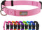 Pink Basic Adjustable Dog Collar for Small Medium Large Dogs, Breathable Quick Release Nylon Pet Collar