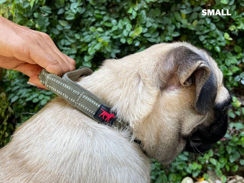 Heavy Duty Dog Collar with Handle | Ballistic Nylon, Padded Reflective Collar with Adjustable Hardware