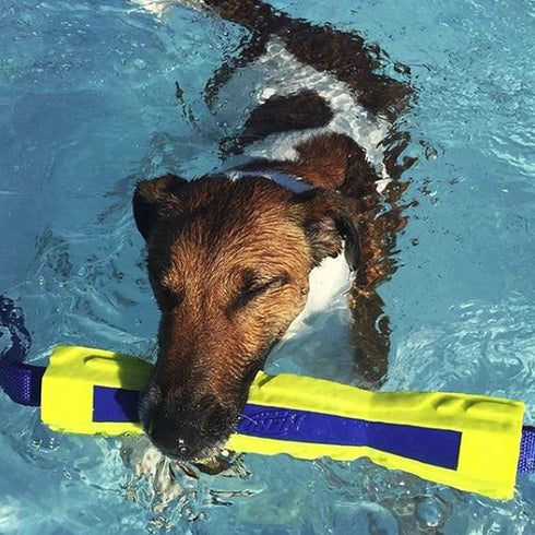 Nerf Dog Megaton Competition Stick - 12in TPR/Foam - Blue/Green