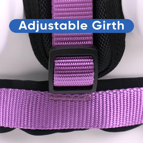 Pawtitas Padded Dog Harness, Reflective Dog Vest for Comfort Control, XS Extra Small Orchid