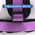 Pawtitas Padded Dog Harness, Reflective Dog Vest for Comfort Control, XS Extra Small Orchid