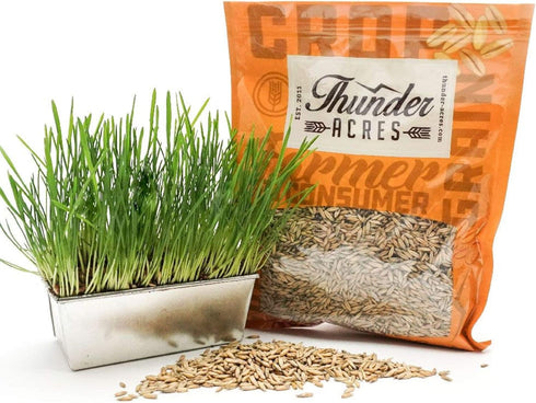 (5 lb.) Thunder Acres Non GMO, Certified Organic, Oat Seed