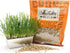 (2 lb.) Thunder Acres Non GMO, Certified Organic, Oat Seed