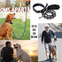 Dog Leash Metal Leashes with Pet Collar, Heavy Duty Anti Bite Chain Rope Hook for Training Walking Medium and Large Dogs