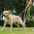Waterproof Dog Collar, Easy to Clean Rubber Collars with Quick Release Buckle for Small Medium Large Dogs (Yellow, L)