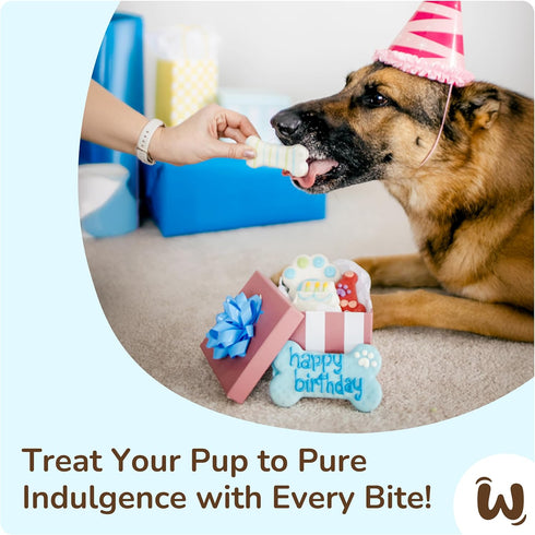 Wufers Dog Birthday Cookie Box, 9 Cookies, Human Grade Ingredients, Cute Hand Decorated