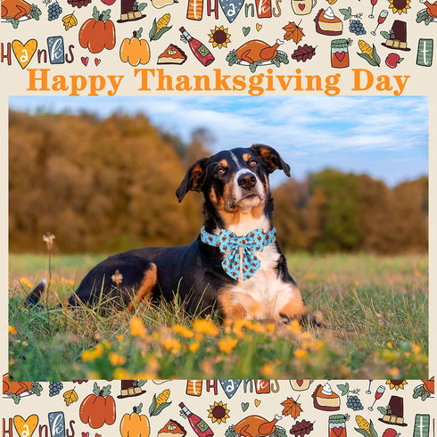 Unique Style Paws Thanksgiving Dog Collar with Bow Tie, Blue Turkey, for Small Medium Large Dogs, Autumn Winter Gifts -