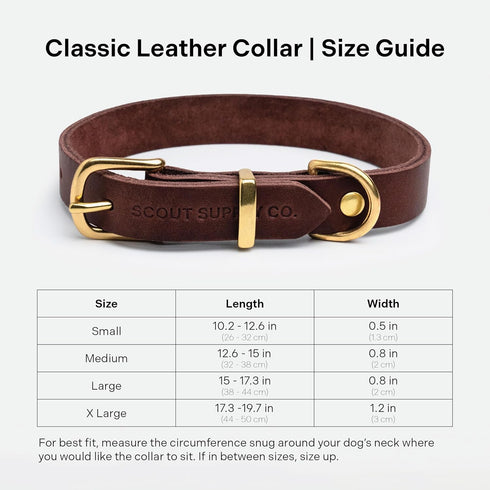 Classic Leather Dog Collar by Scout Supply, Heavy Duty Thick Full Grain Leather, Waterproof & Rust-Proof Brass Hardware