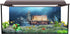 AWERT 48x20 inches Underwater Aquarium Background Opened Treasure Chest with Bright Gold Treasure Box Adventure Water Wealth Pirate Fish Tank Background Vinyl Background