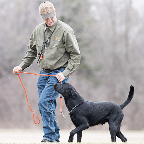 SportDOG Brand Roy Gonia Special Whistle - Easy-to-Blow Hunting Dog Whistle for Training or Field Use