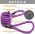 Fida Durable Slip Lead Dog Loop Leash, 6 FT x 1/2" Heavy Duty , Comfortable Strong Rope Leash for Large, Medium Dogs, No Pull Pet Training Leash with Highly Reflective, Purple