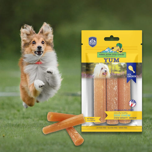 Himalayan Dog Chew Yak Cheese Dog Chews, Medium Density, Lactose Free & Grain Free, USA Made, Resealable Pouch with 3