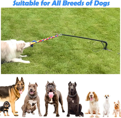 2 Tether Outdoor Dog Toy,Interactive Exercise Game in Yard Park Tug of War for Large Medium Small Dog Puppy with Rope