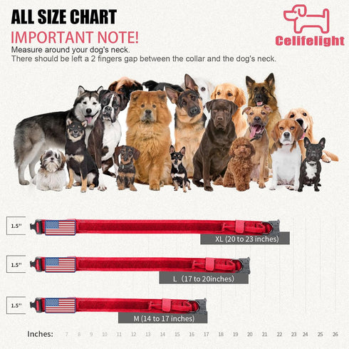 Tactical Dog Collar, Military Adjustable Nylon Dog Collar with Heavy Duty Metal Buckle and Handle for Training (Red, M)