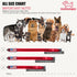 Tactical Dog Collar, Military Adjustable Nylon Dog Collar with Heavy Duty Metal Buckle and Handle for Training (Red, M)