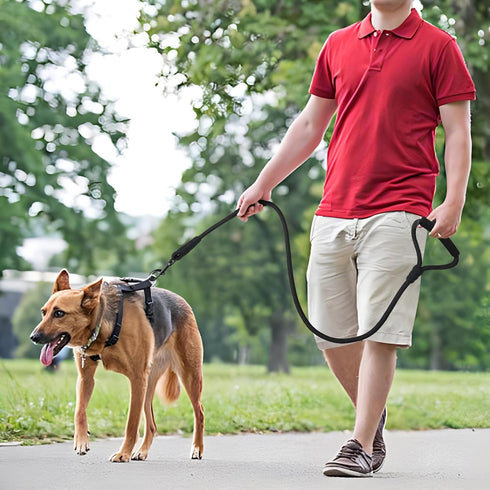 Mile High Life Dog Leash with Comfortable Padded Handle | Black Nylon Rope Dog Leash | Heavy Duty 4 Feet Dog Leashes (Black)
