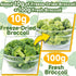 3.17oz Frozen SEAYOFA Freeze Dried Broccoli Florets, Dehydrated Broccoli Vegetables, No Bitter Broccoli Florets