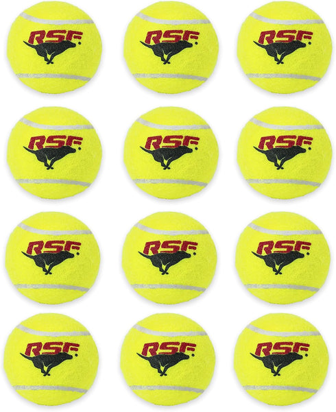 Franklin Pet Supply RSF Squeak Mini 1.75" Tennis Balls, Dog Toy Squeaks When Squeezed, Pack of 12