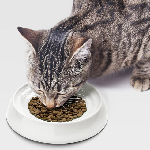 CatGuru Whisker Friendly Cat Bowls, Non Slip Pet Feeding Bowls for Indoor Cats, Shallow Kitten Dish (Marshmallow)