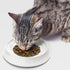 CatGuru Whisker Friendly Cat Bowls, Non Slip Pet Feeding Bowls for Indoor Cats, Shallow Kitten Dish (Marshmallow)