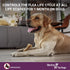 Vectra 3D for Dogs - Flea, Tick & Mosquito Treatment for Large Dogs (56 to 95 lbs) - 3 Month Supply