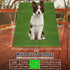 3FTx5FT GLOBREEN Artificial Grass for Dogs Potty, Puppy Grass Pee Pad, Indoor Outdoor Pets Turf Fake Grass Rug